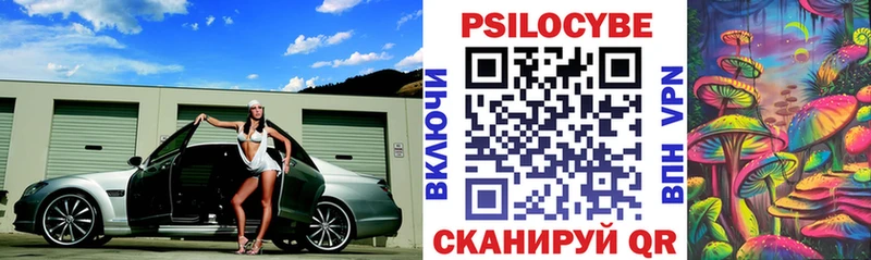 Псилоцибиновые грибы мицелий  Алатырь 